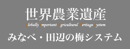 世界農業遺産 みなべ・田辺の梅システム